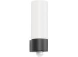 Applique Cmd 63/BM In Acciaio Inox Antracite IP44 E27 Con Rilevatore Di Movimento