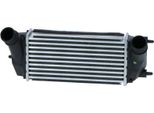 Alette Di Raffreddamento Dell'intercooler Brasate 300 Mm - 147 Mm Nrf Per Ford B-MAX Ed Altri
