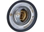 Termostato Refrigerante Con Anello Di Tenuta Nrf Per Fiat 131