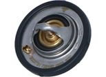Termostato Refrigerante Con Anello Di Tenuta Nrf Per Ford Focus I