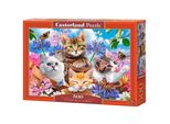Castorland Puzzle Gattino Con Fiori 500 Pezzi