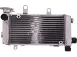 Radiatore Acqua Jmp 1809105 Destro Per Honda Vtr 1000 F Fire Storm