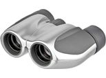 Olympus Dpc I - Binocolo 8 X 21 - Porro - Argento Metallizzato