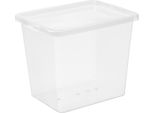 Plast Team22970800 Plast Team Box Basic Box, 31,0 Litri