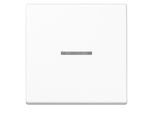 Jung A 590 KO5 Ww Interruttore Luminoso In Duroplast Bianco (A590KO5WW)