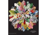 Pianta: Esplorare Il Mondo Botanico