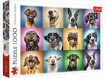 Trefl Puzzle 1000 Ritratti Divertenti Di Cani 10462