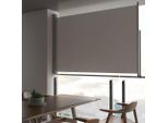 Vidaxl Tenda Laterale Retrattile 160X300 Cm Grigio