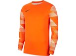 Bluza Bramkarska Nike Park Iv CJ6066-819 Xl (188Cm)