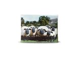 Shaun The Sheep - Shaun The Sheep - Cuscino Con Stampa Di Shaun The Sheep