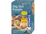 Kosmos 616922 Set Di Scavo Per Fossili, Per Scavare Da Soli Veri Fossili E Ambra, Con Martello E Scalpello, Set Di Esperimenti Per Bambini Dai 7 Anni In Su, Istruzioni Multilingue
