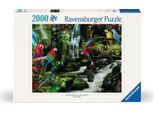 Pappagalli Colorati Nella Giungla Ravensburger 17111