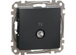 Antenna Tv (4Db) Sedna Design SDD114471 Sedna Design Schneider Electric
