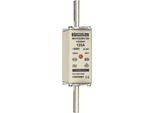 NH-ZERO 125A, Taglia 1, AC500V - Hrc NH1 125A NH1GG50V125 Fusibile A Bassa Tensione