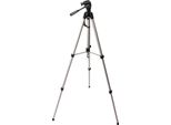 Treppiede Nest + Testa WT-3560 H167 Cm