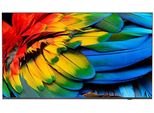Philips Hotel Tv 58HFL6214U/12 146,0Cm(58") Mediasuite (Speditionsversand)"