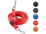 Vitazoo Guinzaglio Per Cani - 3Mx2,5Cm - Guinzaglio In Nylon Grafite Con Moschettoni Per Cani Di Piccola, Media E Grande Taglia - Guinzaglio Con Guinzaglio Regolabile Con 4