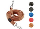 Vitazoo Guinzaglio Per Cani - 3Mx2,5Cm - Guinzaglio In Nylon Grafite Con Moschettoni Per Cani Di Piccola, Media E Grande Taglia - Guinzaglio Con Guinzaglio Regolabile Con 4