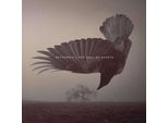 La Caduta Dei Cuori (Digipak)
