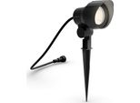 Luci LED-LV 6W 4000K 660Lm IP44 Nero Philips