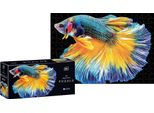 Interdruk Puzzle 250 Pezzi Natura Colorata 6 Pesci