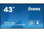 Iiyama Prolite LH4365UHSB-B1 - Classe Di Diagonale Da 109 Cm (43") (108 Cm (42,5"")"