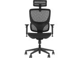 Sedia Girevole Ergonomica Da Ufficio Ergonew S1, Base In Nylon, Braccioli Regolabili, Poggiatesta, Seduta E Schienale In Rete Regolabili, Nero