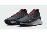 Scarpe Da Corsa Da Uomo Nike Pegasus Trail 4 Gtx V2