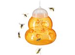 Trappola Per Vespe Insetti Calabroni Attirare Le Mosche Cattura Insetti Calabroni