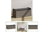 The Living Store Panca Con Contenitore E Cuscini Grigio 115X51X52 Cm Poly Rattan