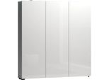 Dmora Armadio Multiuso Grande Onice 19X115H Cm Bianco Bianco Lucido, Apertura Battente 3 Ante Italy