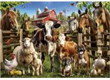 Bauernhof Buddies Puzzle 500Pz