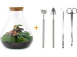 Bottiglia Da Giardino "Sam Xl"" Rossa Terrario Per Piante Fai Da Te 35 Cm Incl. Rastrello, Pala, Pinzette E Forbici"