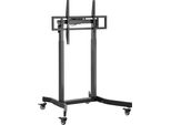 Equip 650632 Supporto Da Pavimento Equip 55"-100""/ 1TFT 120Kg Sw Lite Retail"