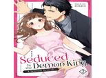 Sedotta Dal Re Demone: Una Rinascita Sensuale Vol. 2