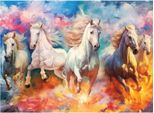 Anatolian Puzzle Freedom 1000 Pezzi