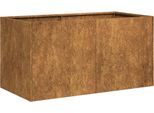 Vidaxl Fioriera Rusty 80X40X40 Cm Acciaio Resistente Alle Intemperie