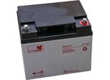 Mwl 40-12: Batteria Agm 12V/40Ah 196*165*170 (T16)