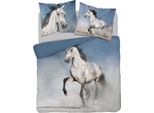 Set Di Biancheria Da Letto In Cotone Bianco Cavallo 160X200 Holland Natura