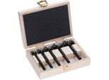 Expert Set Di Punte Forstner Per Legno, 5 Pezzi.