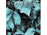 Schubert: Sonata Per Pianoforte D959 E Momenti Musicali