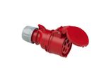 Presa Portatile Per Cavo 32A 5P 400V IP44