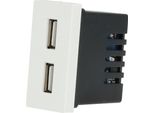 Doppio Modulo Di Ricarica Usb Bianco Dc Smart Home
