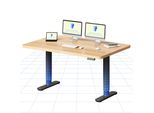 Flexispot Cylinex Scrivania Regolabile In Altezza 140X80 Cm Con Eleganti Gambe Arrotondate, Piano In Un Unico Pezzo Da 25 Mm, Portata 80 Kg, Acero
