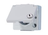 Jung Presa Di Corrente 1F Gr Glz WG600 Con Cerniera A Superficie IP44