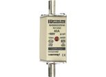 Nh Zero Taglia 000, 40A AC500V - Fusibile A Bassa Tensione Hrc NH0 40A NH000GG50V40