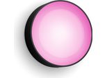 Philips By Signify Philips Hue Ambiente Bianco E Colore Daylo Lampada Da Parete Per Esterni
