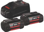 Bosch Gba 36V 2 X 6,0 Ah + Gal 3680