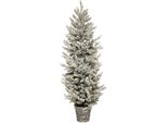Luci E Natale - Tannenbaum Im Topf Frosty 150Cm