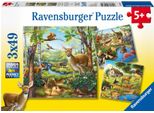 Foresta/Zoo/Animali Ravensburger 09265